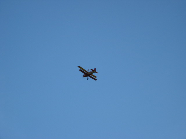 617x456 pixels (32K)